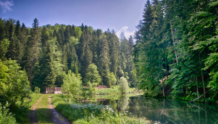 LJUDI IZNENAĐENI Na našoj planini cene izuzetno povoljne (FOTO)