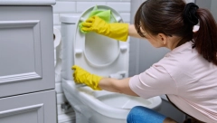 JESTE LI ZNALI DA JAPANCI SIPAJU BRAŠNO U WC ŠOLJU? Kad čujete koji problem reše, i vi ćete to uraditi