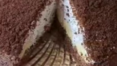 KRITIČNJAK Ako ste odrastali 90 ih, ovaj desert se služio na svim dečijim rođendanima