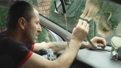 OD NJIHOVOG UJEDA SE UMIRE! Arsenije je jedan od retkih koji hvata stršljenove: Može da probije i najdeblju rukavicu!