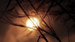 SITUACIJA JE KRITIČNA Hanoduras proglasio vanredno stanje