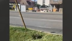 SVA VOZILA STAJU DA BI ONA PREŠLA ULICU! Nesvakidašnja scena ŠOKIRALA vozače, gledaju i ne veruju svojim očima! (VIDEO)