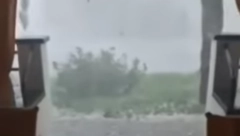 VETAR ČUPAO STABLA, GRAD LOMIO FASADE Jako nevreme pogodilo Vojvodinu, od oluje se nije video PRST PRED OKOM