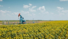 KOMPANIJA NIS OBJAVILA IZVEŠTAJ O ODRŽIVOM RAZVOJU ZA 2023. GODINU  Razvoj poslovanja uz doprinos napretku zajednice i zaštiti životne sredine