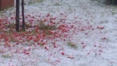 SNAŽAN GRAD TUKAO POLA SATA PO SRPSKIM SELIMA, POGLEDAJTE ŠTA JE NAPRAVIO! Meštani mole Boga samo ovo da se ne desi (FOTO)