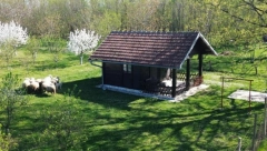 IMANJE I KUĆA U SRCU ŠUMADIJE ZA 41.000 EVRA A za mesto ste verovatno svi čuli