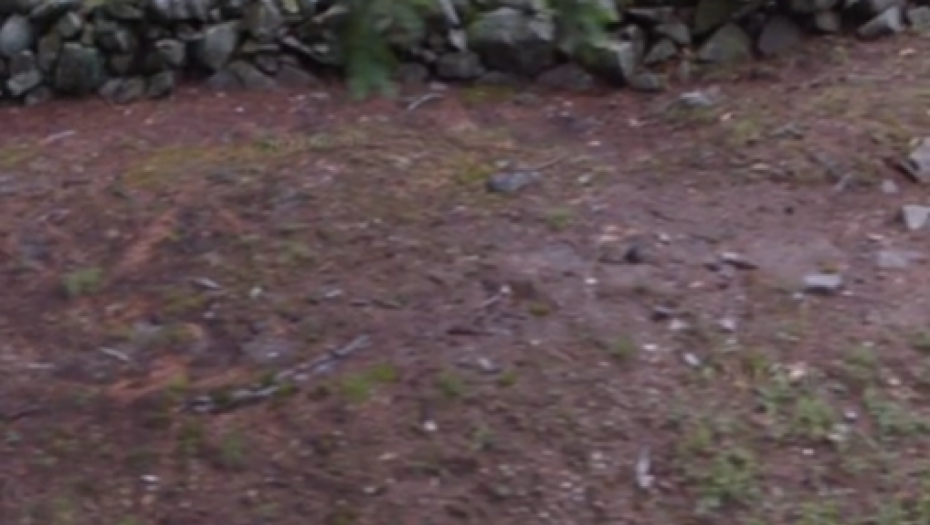 JEZIVI SNIMAK ZBOG KOG ĆETE SE TRESTI OD STRAHA Žena ugledala DUHA na groblju (VIDEO)