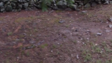 JEZIVI SNIMAK ZBOG KOG ĆETE SE TRESTI OD STRAHA Žena ugledala DUHA na groblju (VIDEO)