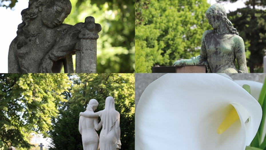 Govor cveća: Kala – simbol trijumfa života nad smrću i beskrajne nade