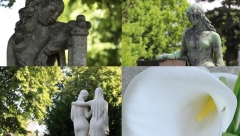 Govor cveća: Kala – simbol trijumfa života nad smrću i beskrajne nade