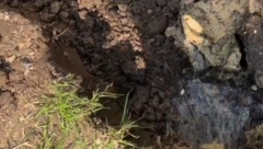 KOPALA U BAŠTI, PA NAIŠLA NA MISTERIOZNU KUTIJU Ono što je pronašla unutra ledi krv u žilama! (VIDEO)