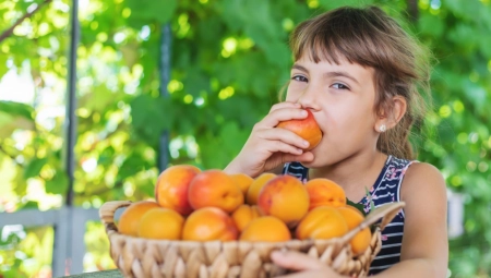 POVOLJNO DELUJU NA CREVA I OČI Kajsije su pravo blago, ali veliki broj ljudi ne bi smeo da ih jede