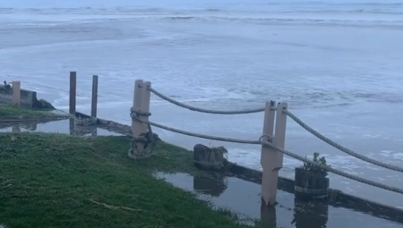 PRONAĐENA OKRUGLA RIBA VEĆA OD ČOVEKA Čudna "neman" izazvala pometnju, ljudi hrle da je vide (FOTO)