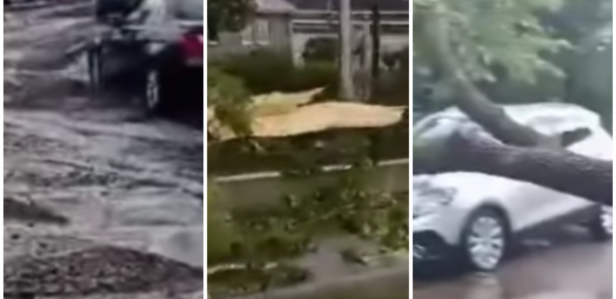 SNAŽNO NEVREME NAPRAVILO HAOS, ČUPALO DRVEĆE... Zastašujuće scene u ovom mestu u Srbiji (VIDEO)