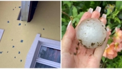 U GOLUPCU KAO DA SU BOMBE PADALE Ovo se sručilo sa neba, ljudi u neverici kakav ih je grad zadesio (FOTO)