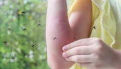 DOBRO POGLEDAJTE ŠTA PIŠE NA BOČICI Sredstvo za komarce mora da ima ove sastojke da bi vas zaštitilo