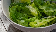 KAKO DA ZELENA SALATA NE UVENE Čuvajte je na ovaj način, ostaće sveža mesec dana!