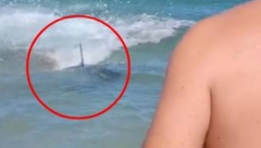 PERAJE ZAPARALO VODU, PANIKA U PLIĆAKU! Kupači pobegli na sigurno, evo šta je izazvalo HAOS (VIDEO)