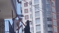 NISU TU ČISTA POSLA Koza spašavala živu glavu, pa skočila sa  terase, a onda se desilo nešto neočekivano