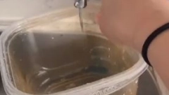 ČISTI PLASTIČNE POSUDE U NEKOLIKO SEKUNDI Pomoću ovog trika uklonićete žute mrlje bez mučnog ribanja sunđerom