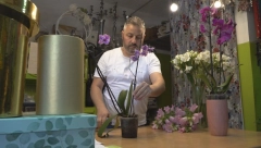 NIKOLA SVOJE PACIJENTE ''DIŽE IZ MRTVIH''! Ima redovne mušterije: Vole muziku i pažnju, hladnu vodu NIKAKO! (FOTO)