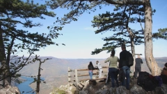 SAFARI, ALI PO SRPSKI! Turisti raspamećeni novom turističkom atrakcijom na Tari: Voze se svi od 3 do 83 godine! (FOTO)