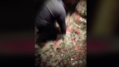 "ZAŠTO MORATE SVE DA UNIŠTITE U TUĐOJ ZEMLJI?" Žestok blam turiste videlo je 50 miliona ljudi, šta biste vi uradili? (VIDEO)