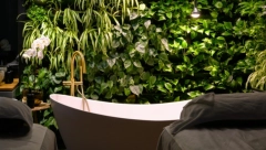 NOĆENJE MOŽE I ZA 1.000 DINARA: Kroz ovu banju protiče najčistija reka u Srbiji!