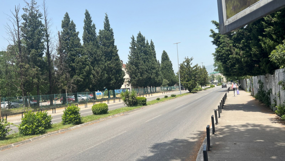 KJU GROZNICA REGISTROVANA U CRNOJ GORI Lekari hitno izašli na teren, opaka bolest prešla sa životinja