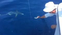 MORSKI PAS PRIŠAO RIBARIMA Snimak oduševio ljude na internetu (VIDEO)