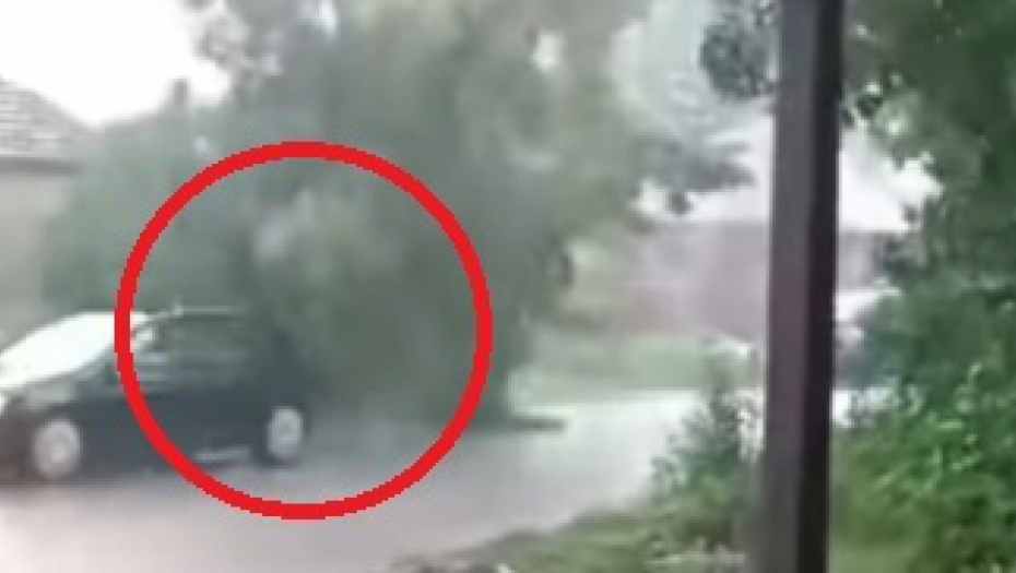 SNIMAK LEDI KRV U ŽILAMA Vozač kod Leskovca izbegao tragediju za dlaku (VIDEO)