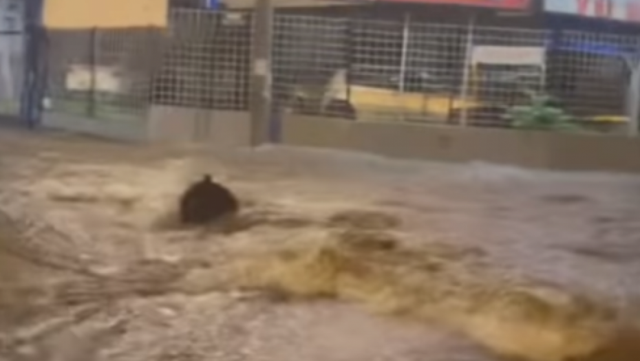 OVO MESTO U BEOGRADU JE NAJKRTIČNIJE? Kao nebo da se otvorilo u prestonici, muškarac se peške probija kroz poplavljene ulice (VIDEO)
