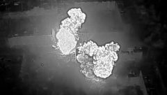 BOMBA BAČENA PORED POLICIJSKOG VOZILA Sedam osoba poginulo!