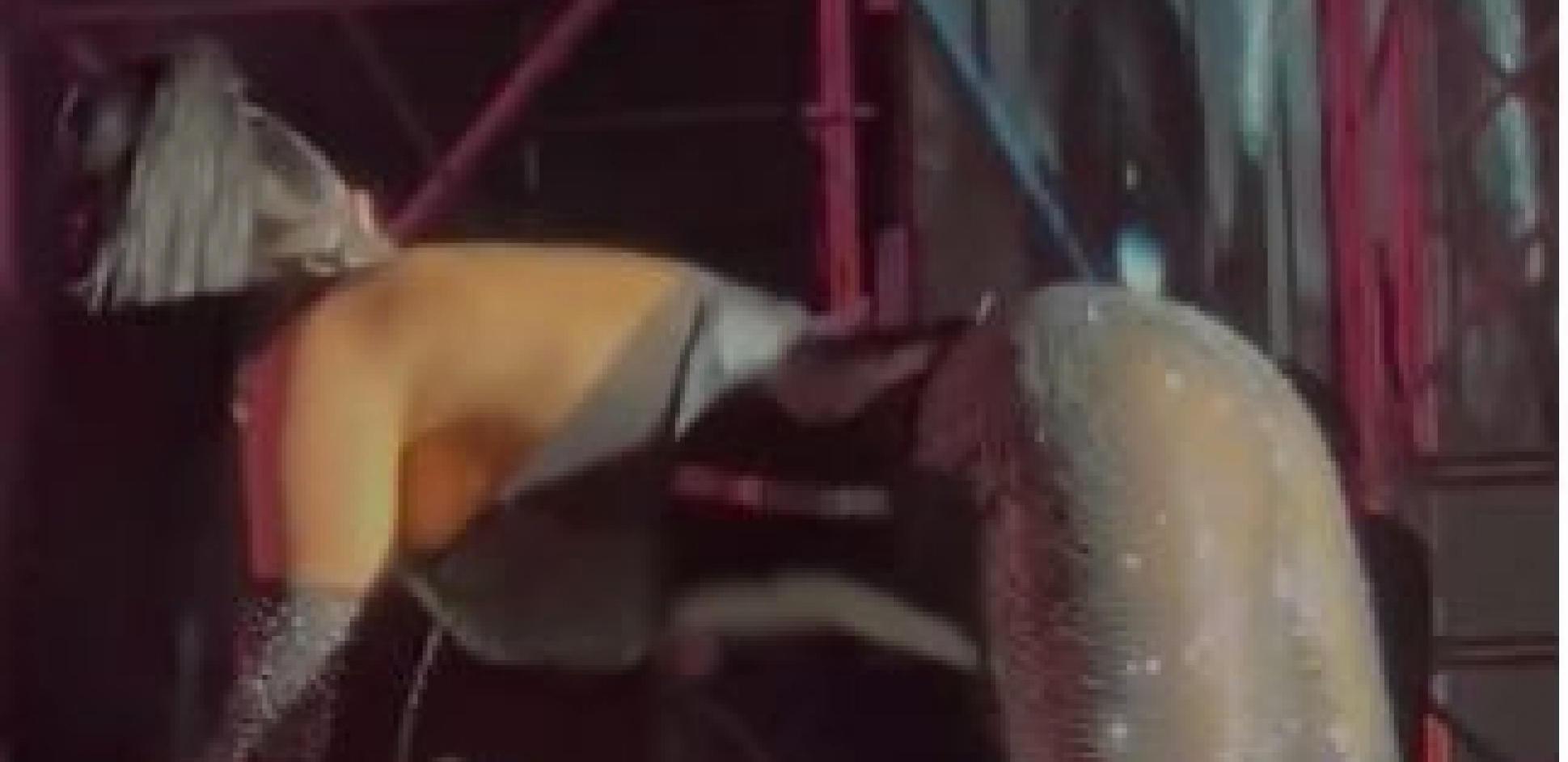 VRELE SCENE NA BINI Teodora Džehverović trese zadnjicom u providnim helankama