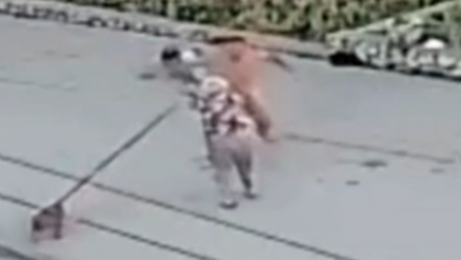 GOLI MUŠKARAC TUČE LJUDE PO ULICI Drama u Rusiji (VIDEO)
