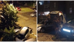 KORENJE DRVEĆA PREVRNULO KOLA Apokaliptične scene na Bežaniji, nevreme napravilo OZBILJAN HAOS (FOTO)