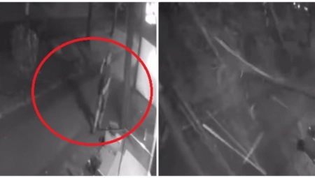 MLADIĆ U SEKUNDI IZBEGAO SMRT Jezivi snimak iz Beograda, DRVO SE SAMO SRUČILO! Da nije ubrzao... (VIDEO)