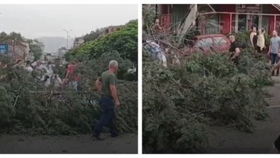 DRVO PALO NA ŽENU, OSTALA JE ZAGLAVLJENA ISPOD Horor scena u Skoplju, ljudi u panici trče (VIDEO)