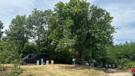 OTIŠLI IZ SELA, ŠKOLOVALI SE, ALI IH JEDNO DRVO SVE VUČE KORENIMA: Oskoruša kod Čačka čuva žitelje sela, ona je njihov ZAVET! (FOTO)