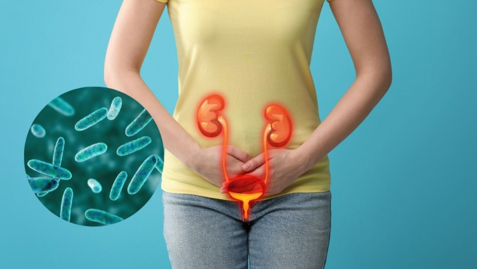 NE SMETE NIKAKO DA ZANEMARITE OVAJ BOL I NAJČEŠĆE UZROČNKE  7 simptoma urinarne infekcije — odmah se javite lekaru
