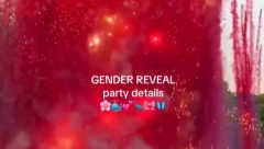 SAZNALI DA ĆE DOBITI DEVOJČICU Par organizovao proslavu otkrivanja pola bebe, korisnici mreža negodovali zbog jedne stvari (VIDEO)