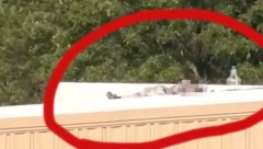 TRAMPOV ATENTATOR LEŽI NA KROVU, NEKO GA DOZIVA DA SIĐE! Jeziv snimak napadača kruži mrežama (VIDEO)