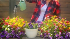 OSUŠENO CVEĆE MOŽE DA SE OPORAVI Poprskajte ga ovim rastvorom i počeće da buja kao iz vode!