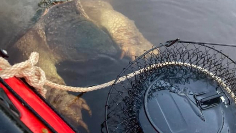 MAJKA I ĆERKA OTIŠLE NA PECANJE Nisu ni slutile kakva divlja zver će izroniti iz vode, šokirale se kada su videle ogromne kandže! (FOTO)