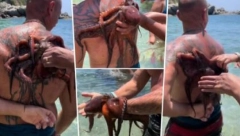ČOVEK IZAŠAO IZ MORA U GRČKOJ, A NA LEĐA MU SE ZALEPILA HOBOTNICA: Nastala vriska i panika na plaži! (VIDEO)