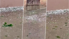 NEVREME POGODILO VOJVODINU:  Pogledajte kako je jak pljusak i grad uništio voćnjake u Vojvodini! (FOTO)