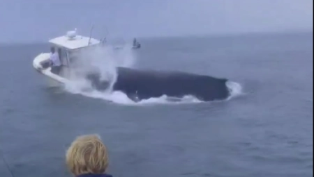 KIT POTOPIO BROD Užas na otvorenom moru (VIDEO)