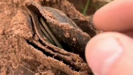 IZAŠAO NA LIVADU SA DETEKTOROM ZA METAL Ono što je našao u blatnjavoj kaljuzi će mu promeniti život iz korena! (VIDEO)
