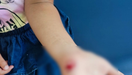 "NISMO MOGLI DA ŽIVIMO OD NJE" Komšije o majci devojčice (3) koja se otrovala alkoholom