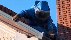 "NAŠLI SMO LEGLO STRŠLJENA VELIČINE BURETA!" Vladica upozorava da najezda tek sledi, a ovo nikako ne smemo da radimo ako ih vidimo